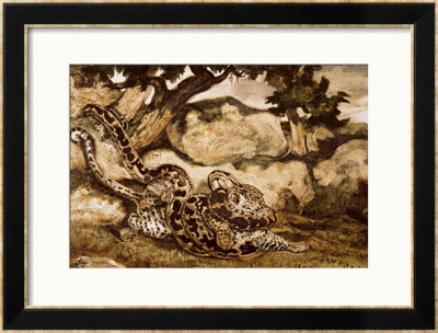A Python Killing A Tiger by Antoine-Louis Barye Pricing Limited Edition Print image