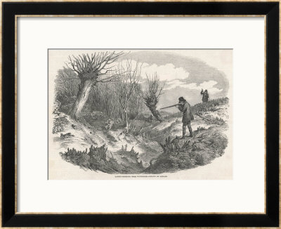 Rabbit Shooting Near Tunbridge Kent by Duncan Pricing Limited Edition Print image