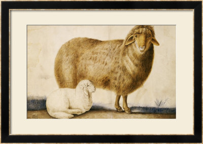 A Ewe And Her Lamb, Circa 1850 by Abu'l-Hasan Ghaffari Kashani Pricing Limited Edition Print image