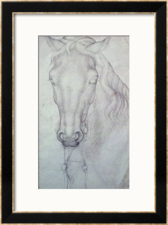 Head Of A Horse by Antonio Pisani Pisanello Pricing Limited Edition Print image