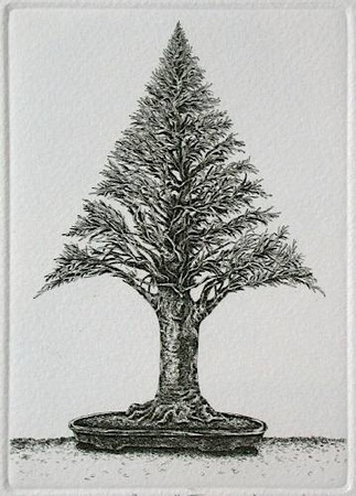 Bonzai Vii by Marc Jurt Pricing Limited Edition Print image