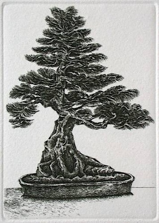 Bonzai Vi by Marc Jurt Pricing Limited Edition Print image
