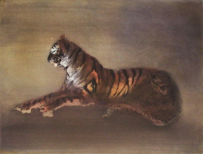 Tigre by Kaïko Moti Pricing Limited Edition Print image