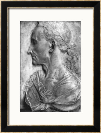 Portrait Of Julius Caesar by Donatello Pricing Limited Edition Print image