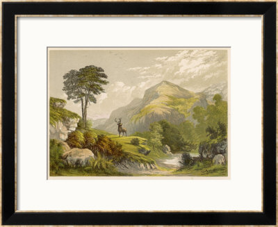 Scottish Highland Moor Scene With A Stag Set Against Majestic Hills by F. Lydon Pricing Limited Edition Print image