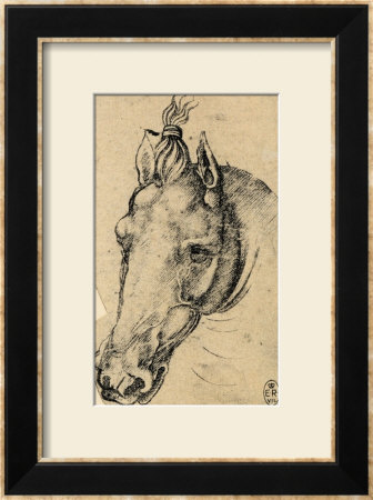 Study Of The Head Of A Horse, Pen Drawing On Paper Turned Yellow, Royal Library, Windsor by Leonardo Da Vinci Pricing Limited Edition Print image