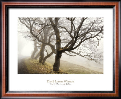 Early Morning Calm by David Winston Pricing Limited Edition Print image