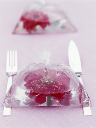 Table Decoration: Flower In Water In A Freezer Bag by Jörn Rynio Pricing Limited Edition Print image