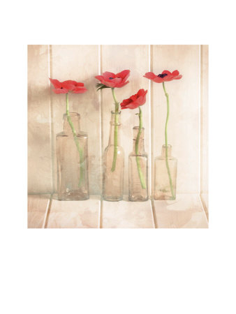 Anemones In Bottles by Ian Winstanley Pricing Limited Edition Print image