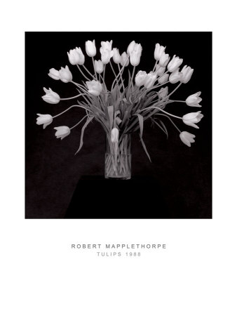 Tulips, C.1988 by Robert Mapplethorpe Pricing Limited Edition Print image