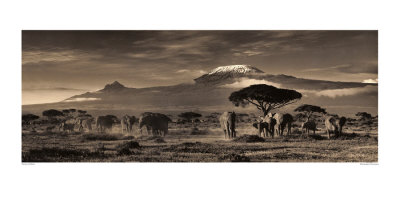Kilimanjaro Panorama by Martyn Colbeck Pricing Limited Edition Print image