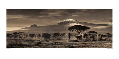 Kilimanjaro Panorama by Martyn Colbeck Pricing Limited Edition Print image
