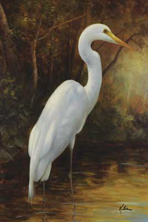 Evening Egret by Kilian Pricing Limited Edition Print image