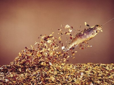 Trout Flying Out Of Bed Of Almonds In Preparation For Trout Amandine by John Dominis Pricing Limited Edition Print image