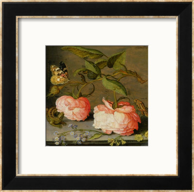 A Still Life With Roses On A Ledge by Balthasar Van Der Ast Pricing Limited Edition Print image