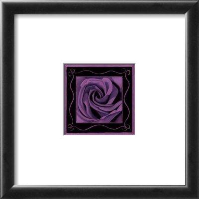 Violet Rose by Jane Nassano Pricing Limited Edition Print image