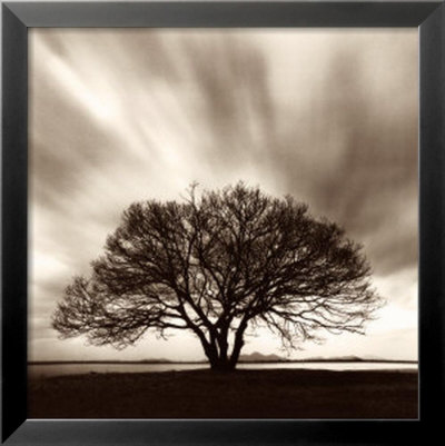 Night Clouds by Michael Kenna Pricing Limited Edition Print image