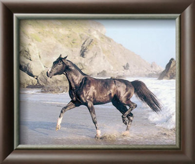 Black Horse And Beach by Ron Kimball Pricing Limited Edition Print image