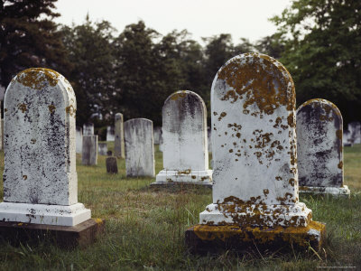 View Of Gravestones Covered With Lichens by Sylvia Sharnoff Pricing Limited Edition Print image