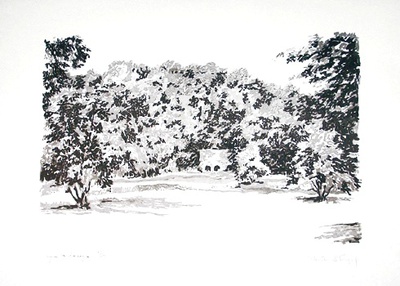 Landscape by Charles Engel Pricing Limited Edition Print image