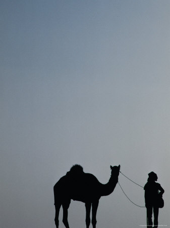 Thar Desert Tribesman And Camel At Pushkar Camel Fair, Pushkar, Rajasthan, India by Alain Evrard Pricing Limited Edition Print image