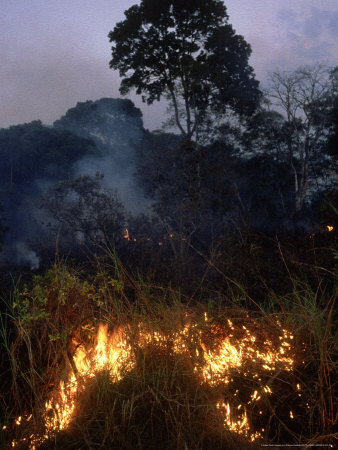 Bush Fires, Gabon, Central Africa by Patricio Robles Gil Pricing Limited Edition Print image