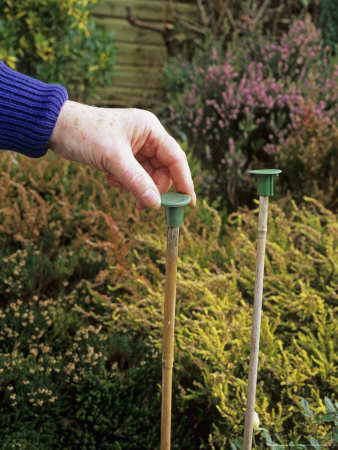 Putting Safety Caps On Garden Canes by Geoff Kidd Pricing Limited Edition Print image