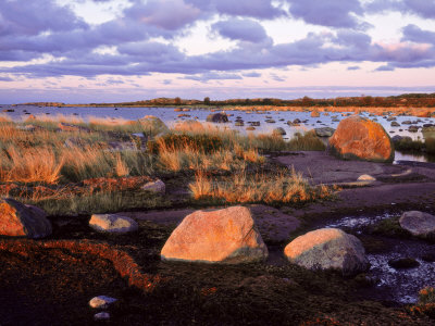 Jurmo Island, Protected Island On The Gulf Of Finland by Heikki Nikki Pricing Limited Edition Print image