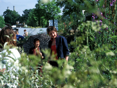 Anne-Marie Powell, Gardening Television Presenter, At Chelsea Flower Show 1999 by Jane Legate Pricing Limited Edition Print image