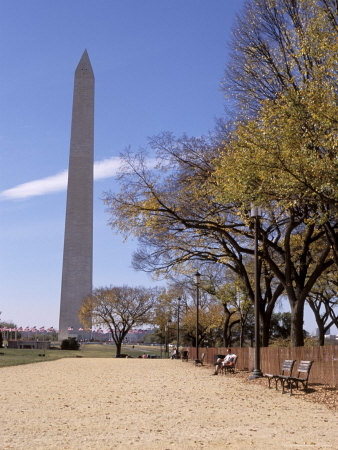 View Of The Washington Monument by Fogstock Llc Pricing Limited Edition Print image