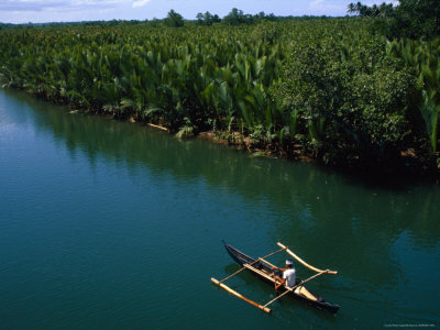 Long Boat On Loboc River, Bohol Island, Bohol, Philippines by Bill Wassman Pricing Limited Edition Print image