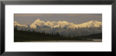 Moose Standing On A Frozen Lake, Wonder Lake, Denali National Park, Alaska, Usa by Panoramic Images Pricing Limited Edition Print image