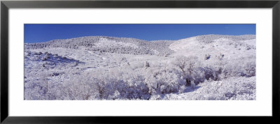 Snow Covered Landscape, La Veta Pass, Colorado, Usa by Panoramic Images Pricing Limited Edition Print image