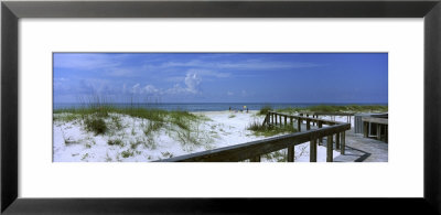 Footbridge On A Beach, St. George Island State Park, Gulf Of Mexico, Florida, Usa by Panoramic Images Pricing Limited Edition Print image