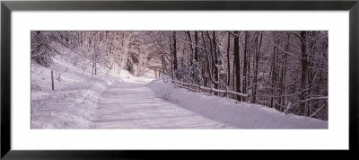 Bare Trees Along A Snow Covered Road, Crystal Downs, Michigan, Usa by Panoramic Images Pricing Limited Edition Print image