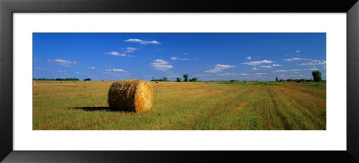 Hay Bales, South Dakota, Usa by Panoramic Images Pricing Limited Edition Print image