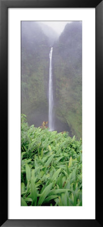 Water Flowing From A Waterfall, Akaka Falls, Hamakua Coast, Hawaii, Usa by Panoramic Images Pricing Limited Edition Print image