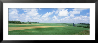 Barn In A Field, Wisconsin, Usa by Panoramic Images Pricing Limited Edition Print image