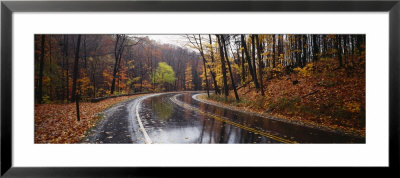 Rainy Road In Autumn, Euclid Creek, Parkway, Ohio, Usa by Panoramic Images Pricing Limited Edition Print image