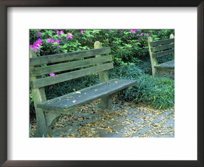 Park Benches In Town Square, Savannah, Georgia, Usa by Julie Eggers Pricing Limited Edition Print image