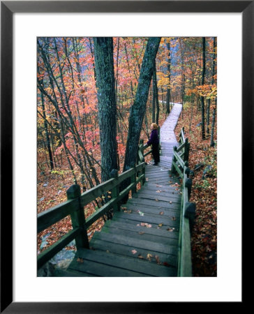 Woman Standing On Boardwalk In Johnson's Shut-Ins State Park During Autumn, Missouri by John Elk Iii Pricing Limited Edition Print image