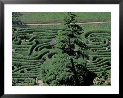 Glendurgan Gardens, Cornwall, England by Nik Wheeler Pricing Limited Edition Print image