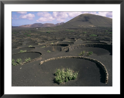 Vine Cultivation, La Geria Region, Lanzarote, Canary Islands, Spain by Ken Gillham Pricing Limited Edition Print image