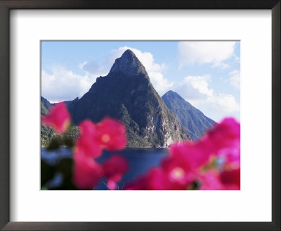 Pitons Volcanic Mountains, With Bougainvillea Flowers In Foreground, St. Lucia, West Indies by Yadid Levy Pricing Limited Edition Print image