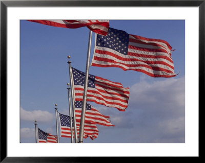 Several Of The American Flags That Surround The Washington Monument by Todd Gipstein Pricing Limited Edition Print image
