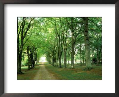 Cranborne Manor, Dorset, Uk by Mark Bolton Pricing Limited Edition Print image