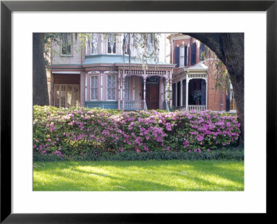Wisteria On Gazebo Across From Park, Savannah, Georgia, Usa by Julie Eggers Pricing Limited Edition Print image
