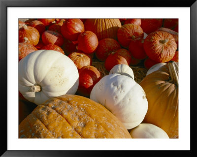 A Pile Of Pumpkins Of Different Colors by Marc Moritsch Pricing Limited Edition Print image