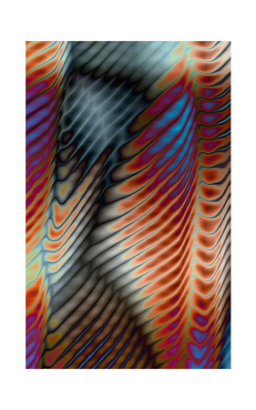 Lenticular 6 by Chip Scarborough Pricing Limited Edition Print image