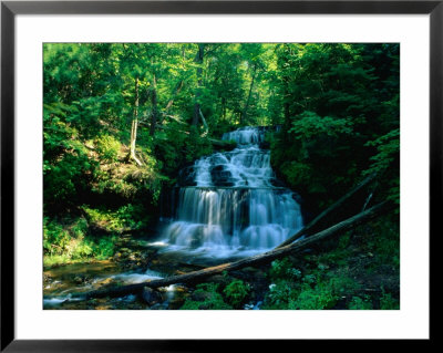 Wagner Falls And Surrounding Vegetation, Munising, Usa by Charles Cook Pricing Limited Edition Print image